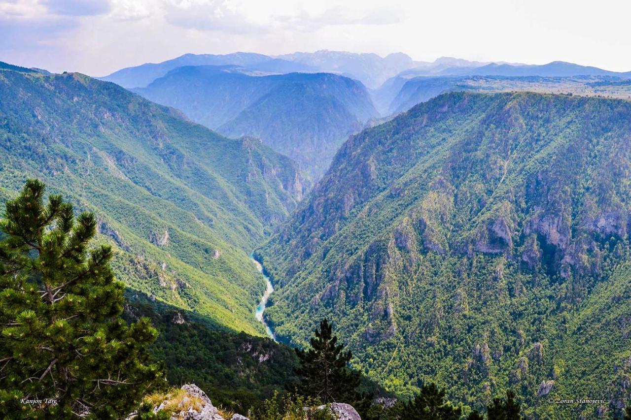 Rafting Camp Encijan Otel Foca Dış mekan fotoğraf